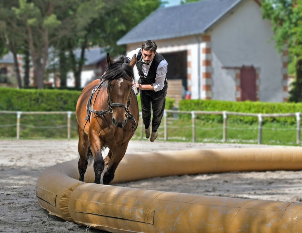 Voltairdings - sporta veids zirgu mīļotājiem