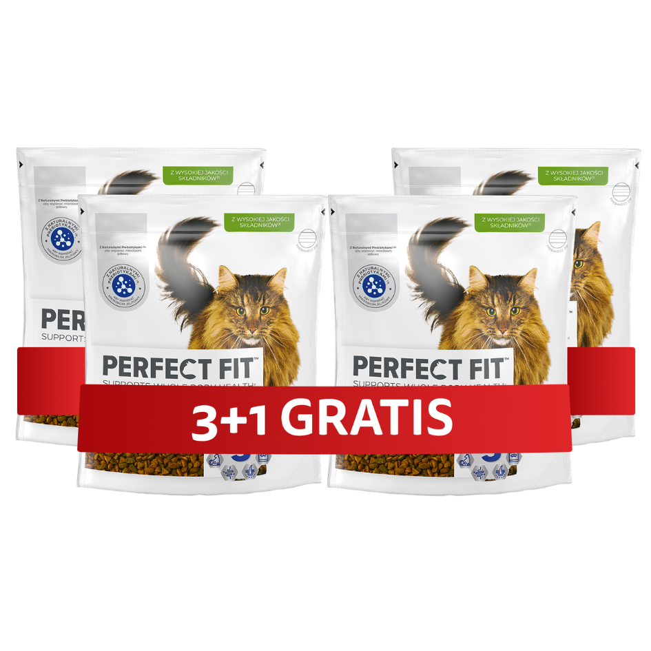 PERFECT FIT Senior sausa barība ar
