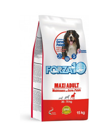 FORZA10 Maxi Maintenance sausā barība pieaugušiem lielu šķirņu suņiem, ar briežu gaļu un kartupeļiem, 15 kg