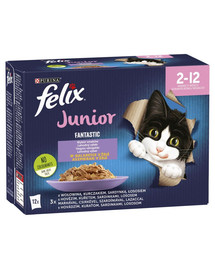FELIX FANTASTIC Junior skonių miksas drebučiuose (jautienos, vištienos, sardinių, lašiša) 72x85g drėgnas maistas kačiukams