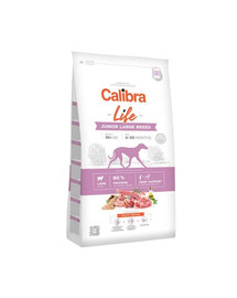 CALIBRA Dog Life jauniem lielo šķirņu suņiem ar jēra gaļu 12 kg