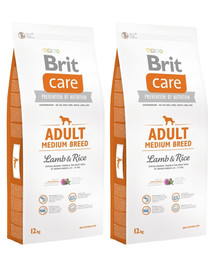 BRIT Care Adult Medium Breed lamb & rice 24 kg (2 x 12 kg)