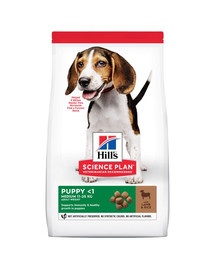 HILL'S Science Plan Puppy <1 Medium breed sucha karma z ryżem i jagnięciną 14 kg