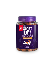 MACED SPORT UP Trenažieri ar laša eļļu suņiem 300g