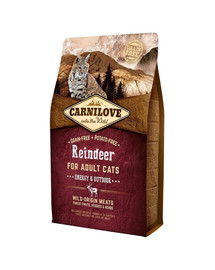 CARNILOVE Cat Energy & Outdoor Renifer ar brieža gaļu 6 kg