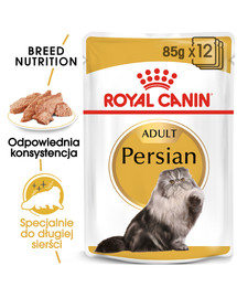 ROYAL CANIN Persian Adult 48x85 g mitrā barība - pastēte, pieaugušiem persiešu kaķiem
