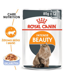 ROYAL CANIN Intense Beauty želejā 24 x 85 g