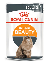 ROYAL CANIN Intense BEAUTY mērcē 24x85 g