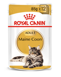 ROYAL CANIN Mainecoon paciņa 24x85 g