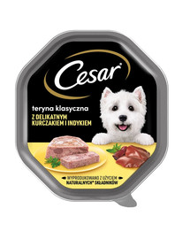 CESAR 14x150g pilnvērtīga, mitra barība pieaugušiem suņiem ar maigu vistas un tītara gaļuych psów teryna z delikatnym kurczakiem i indykiem