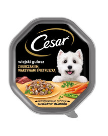 CESAR 14x150 g mitra pilnvērtīga barība pieaugušiem suņiem mērcē ar vistas gaļu, dārzeņiem un pētersīļiem