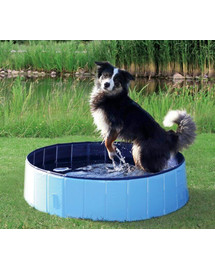 Trixie suņu baseins, 80 X 20 cm