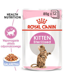 ROYAL CANIN Kitten sterilizēts, želejveida barība 24 x 85 g