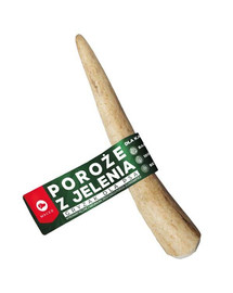 MACED POROŻE JELENIENIA ROZ. M