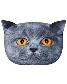 RECOVET Spilvens British Cat