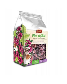 VITAPOL Vita Herbal grauzējiem un trušiem, hibiskus 70g