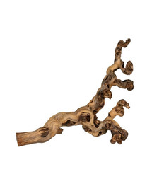 Trixie vīnogulāju saknes 1 gab. kvarca 30-40 cm