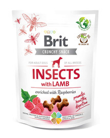 BRIT Care Dog Crunchy Cracker Kraukšķīgi našķi ar kukaiņiem un jēra gaļu 200g