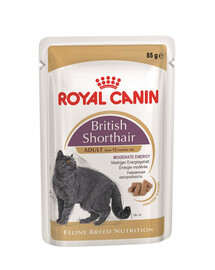 ROYAL CANIN Pilnvērtīga Britu īsspalvaino kaķu barība mērcē pieaugušiem sugas pārstāvjiem 48x85g
