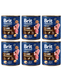 BRIT Premium by Nature 6x800 g dabiskā barība suņiem ar jēra gaļu un griķiem