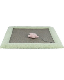 TRIXIE Junior skrāpēšanas paklājiņš kaķēniem 47 × 47 cm