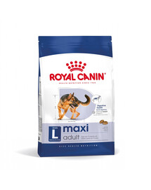 ROYAL CANIN Maxi Adult 10kg sausā barība pieaugušiem suņiem līdz 5 gadu vecumam, lielām šķirnēm