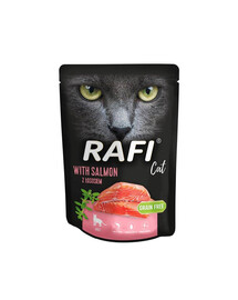 DOLINA NOTECI Rafi Cat mokra karma dla kota z łososiem 300 g