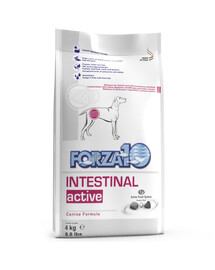 FORZA 10 Intestinal Active Diet Barības papildbarība suņu gremošanas problēmu ārstēšanai 4 kg