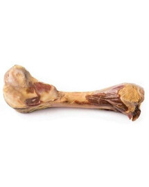 Zolux kaulas su Parma kiauliena M 170 g