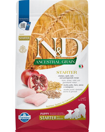 N&D Chicken & Pomegranate Starter sausā barība kucēniem 2,5 kg