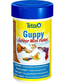 Tetra Guppy Colour 250 ml