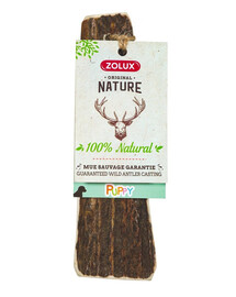 ZOLUX Brieža ragi ar slīpētām malām