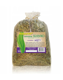 BENEK Natural-Vit šienas su mėta 300 g