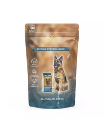 DIVINUS Performance для активных собак 100 g