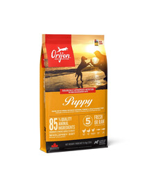 Puppy 11,4 kg