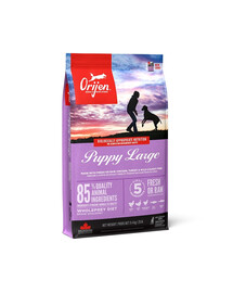 Puppy Large 11,4 kg