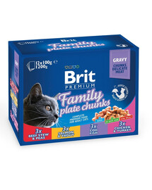 Premium Cat Zestaw Saszetek Family Plate 12x100g