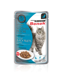 Super Fileciki w sosie z pstrągiem 85 g