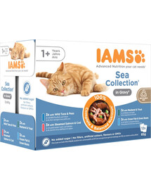 IAMS Cat Delights Adult All Breeds Sea In Gravy Pouch 12x85 g
