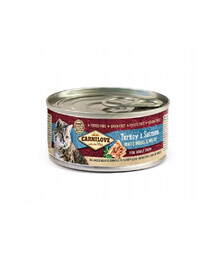 Cat turkey salmon Karma z indykiem i łososiem dla kota 100 g