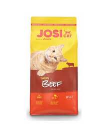 JOSERA JosiCat Tasty Beef 12x650g sucha karma dla kotów