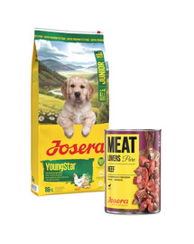 JOSERA YoungStar 12,5kg bezzbożowa karma dla szczeniąt + puszka Josera Meatlovers pure wołowina 800g GRATIS