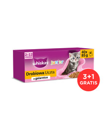 WHISKAS Junior Drobiowa Uczta 120x85g mokra karma z kurczakiem, kaczką, drobiem i indykiem w galaretce dla kociąt + 40 saszetek GRATIS