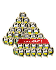 SHEBA Delicacy z kurczakiem w galaretce 44 x 85 g mokra karma dla kotów 22+22 GRATIS