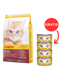 JOSERA Kitten 10 kg sucha karma dla kociąt i kotek ciężarnych lub karmiących + 4 puszki GRATIS