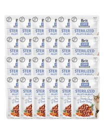 Care Sterilized Fillets in Jelly Duck&Turkey 24 x 85 g kaczka i indyk dla kotów po sterylizacji