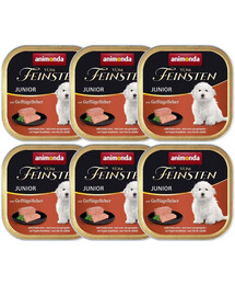 ANIMONDA Vom Feinstein junior 6x150g wątróbka drobiowa
