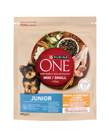 PURINA ONE Junior Mini Small Chicken with Rice 800 g bogata w kurczaka z ryżem, sucha karma dla szczeniąt