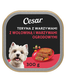 CESAR Teryna z Warzywami 300 g Wołowina i warzywa ogrodowe mokra karma dla psa