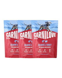 CARNILOVE Active Dog Salmon and Turkey Junior Large Breeds 3x1,5 kg łosoś i indyk, dla dorastających juniorów ras dużych